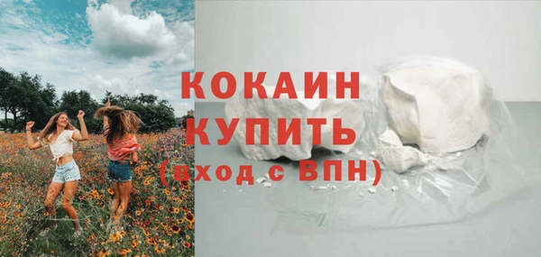 крисы Кодинск