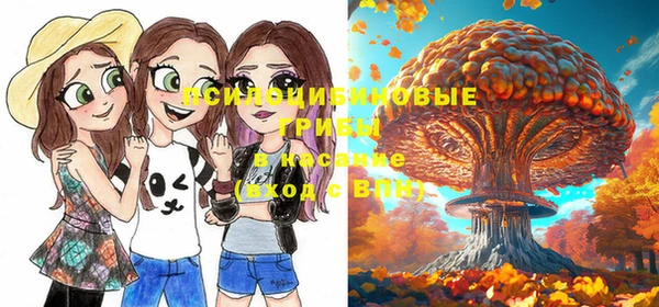 гашиш Козельск