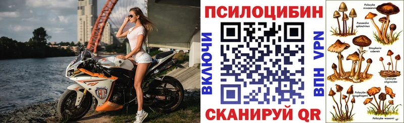 где продают наркотики  Малоархангельск  Галлюциногенные грибы прущие грибы 